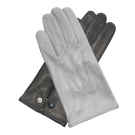 Dressing Gloves