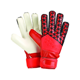 Goalkeeper Gloves