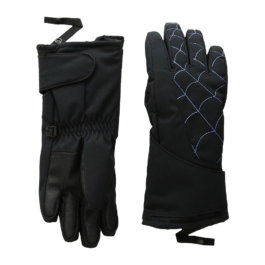 Ski Gloves