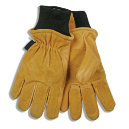 Ski Gloves